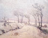 Landscape in Snow