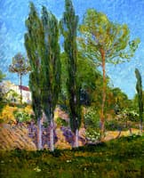 Poplars