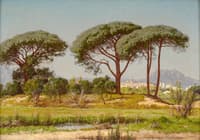Parasol Pines, St. Raphael