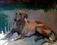 Julio Vila Prades - perro