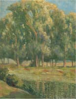 Trees by the River