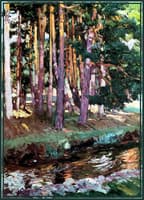 The river la Reina Valsain