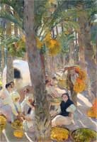 Elche, The Palm Grove