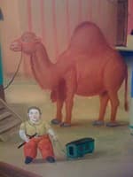 Baby Camel
