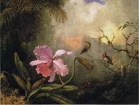 Cattleya Orchid with Two Hummingbirds