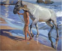 The Horse Bath