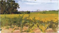 Outskirts of Seville