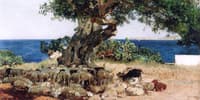 The Carob Tree