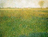 Alfalfa Fields, Saint-Denis