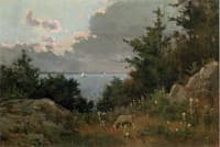 Grazing sheep on the coast of Maine