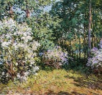 Laurel Woods