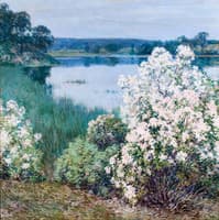 Kalmia