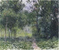 In the Woods