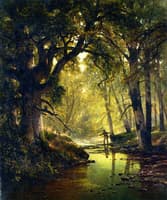 Angler in a Forest Interior