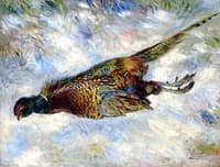 Pheasant in the Snow