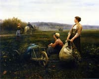 Women in the Fields