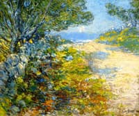 Road to the Sea