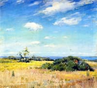 Shinnecock Landscape