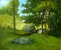 New England Meadow