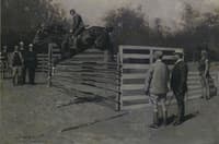 Transport: The First Horse in America to Jump Six Feet
