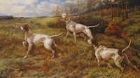 Hunting in the Fall - Three Pointers