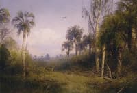 Florida Landscape