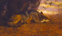 The Sleeping Wolf