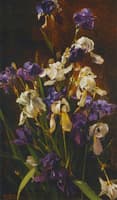 Irises