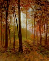The Red Woods