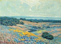 California Landscape