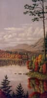 Adirondack Scene