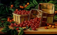 Cherries and Raspberries in a Basket