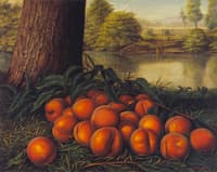Peaches in a Landscape