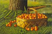 Cherries in a Basket