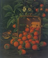 Strawberries Spilling from a Basket and Growing on a Bush