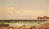 Along Newport Beach