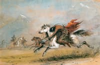 Battle of Indians