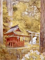 Japanese Pagoda in the Woods