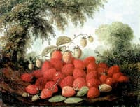 Strawberries Spilling from a Basket and Growing on a Bush
