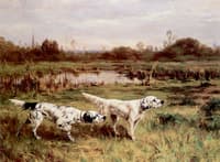 On the Scent