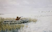 Duck Shooting from a Blind