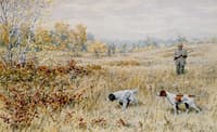 Quail Shooting: A Dead Stand