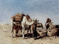 Camels at a Well, Tangiers