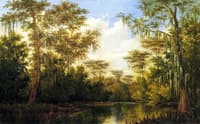 Water Lilies and Spanish Moss