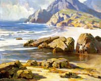 Summer Seas