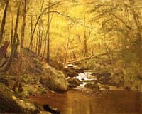 The Running Brook