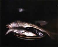 Grey and Silver Fish