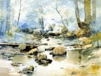 Rocks in a Stream