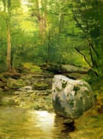 Forest Brook