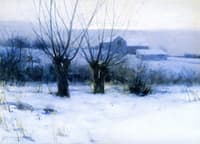Winter Orchard